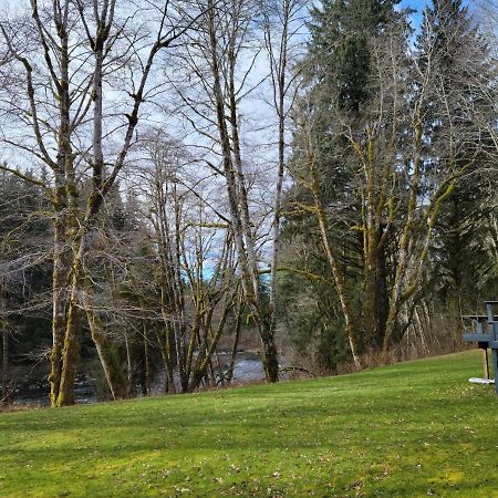 A Relaxing Getaway-A Backwoods Cabin Solduc River Beaver Exterior photo