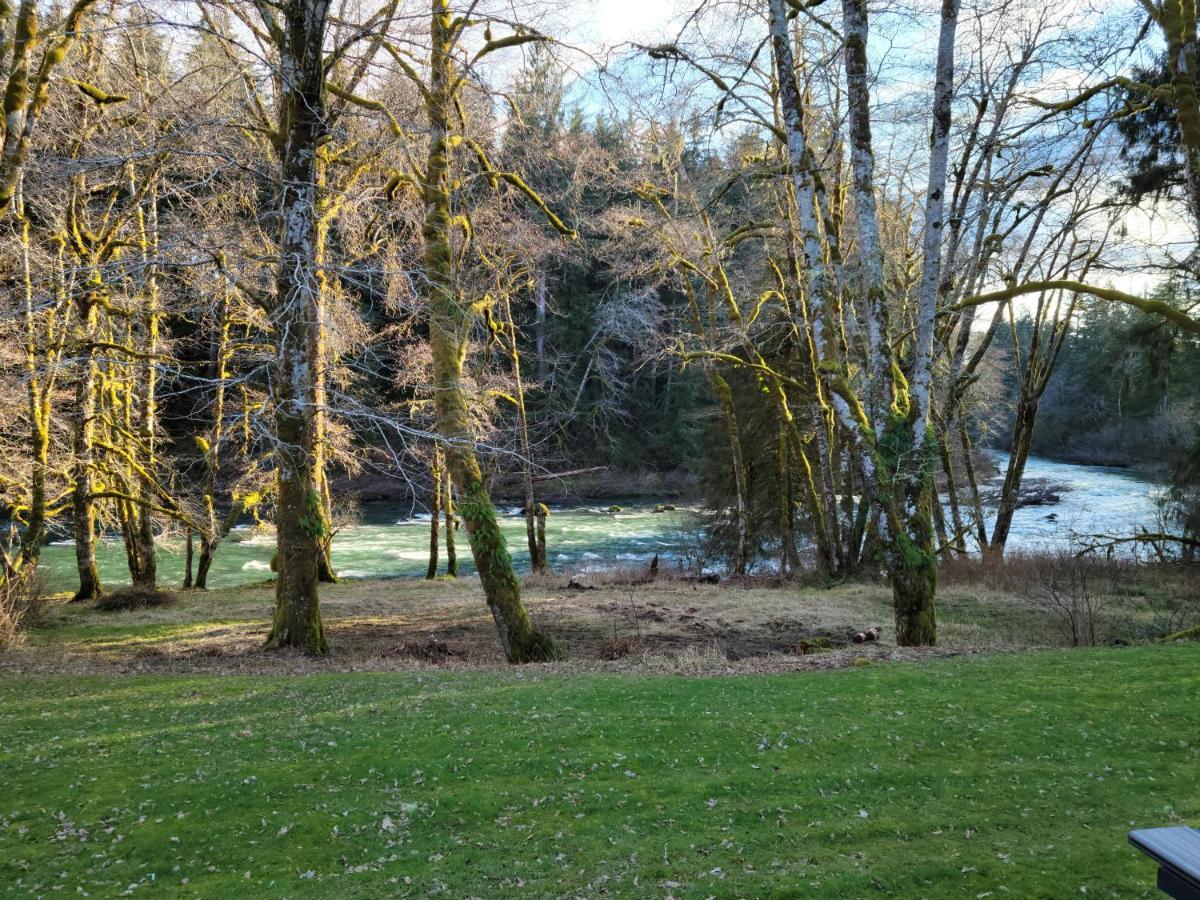 A Relaxing Getaway-A Backwoods Cabin Solduc River Beaver Exterior photo