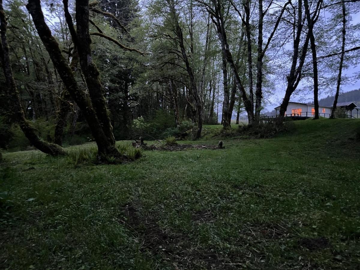 A Relaxing Getaway-A Backwoods Cabin Solduc River Beaver Exterior photo
