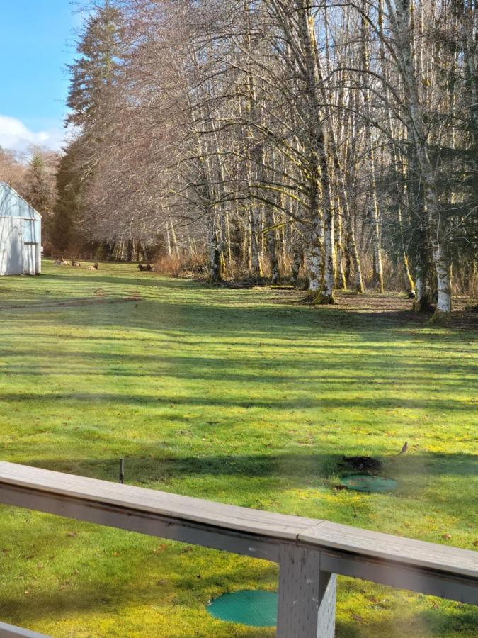 A Relaxing Getaway-A Backwoods Cabin Solduc River Beaver Exterior photo