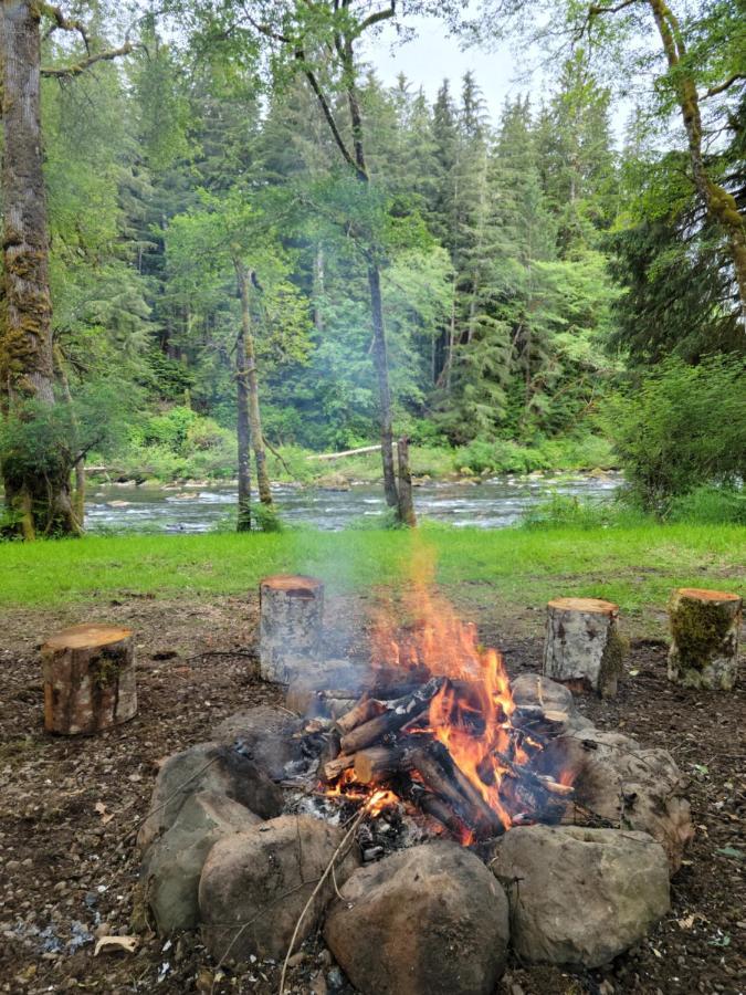 A Relaxing Getaway-A Backwoods Cabin Solduc River Beaver Exterior photo
