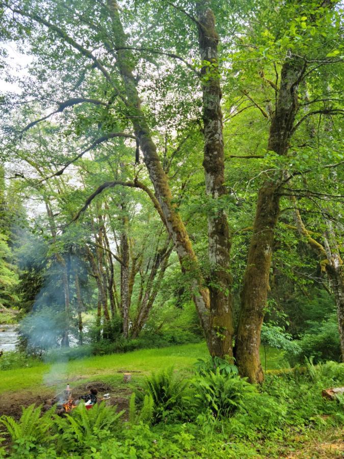 A Relaxing Getaway-A Backwoods Cabin Solduc River Beaver Exterior photo
